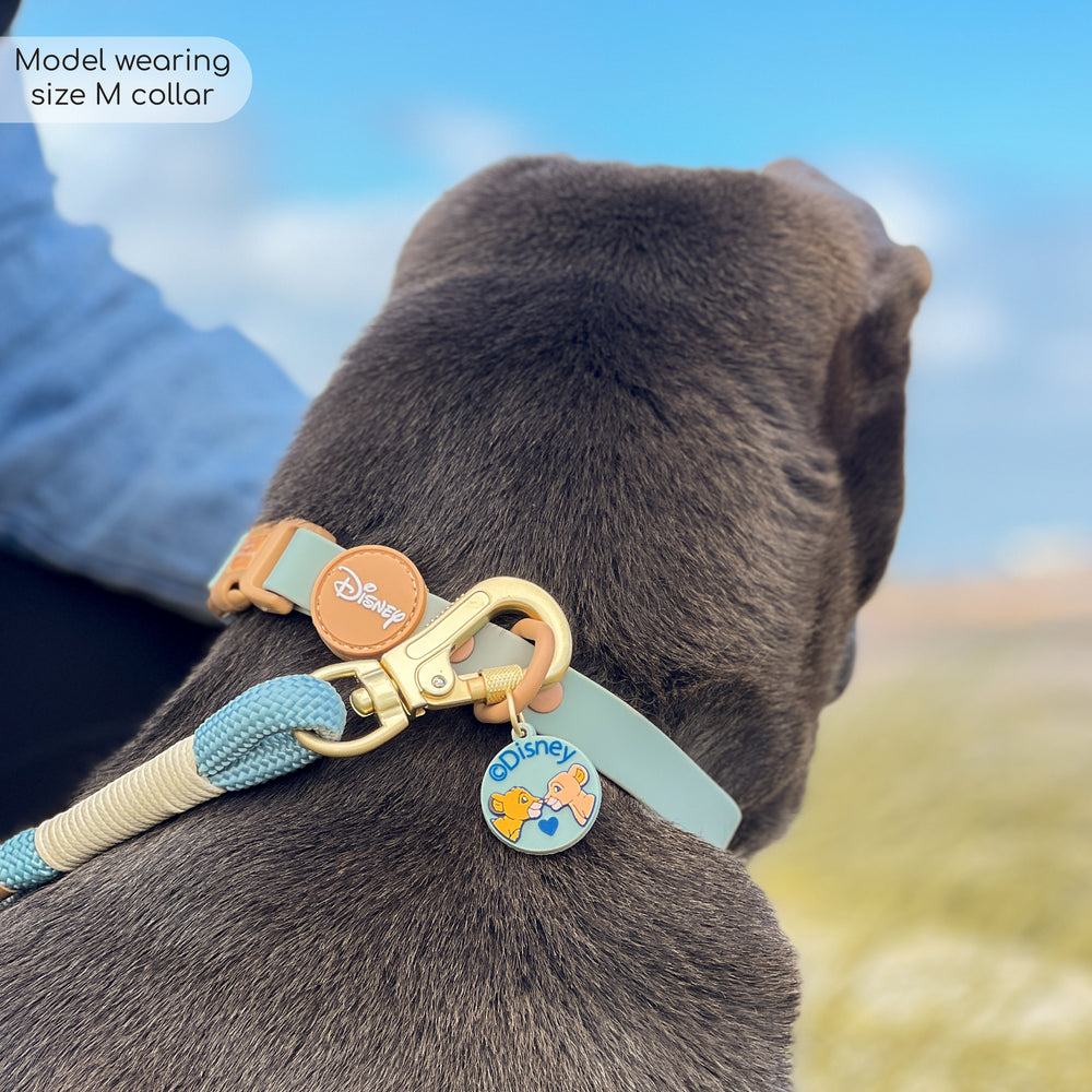 Disney© Waterproof Collar - Lion Friends