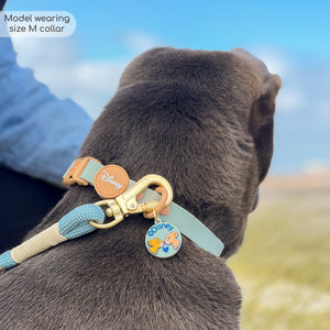 Disney© Waterproof Collar - Lion Friends