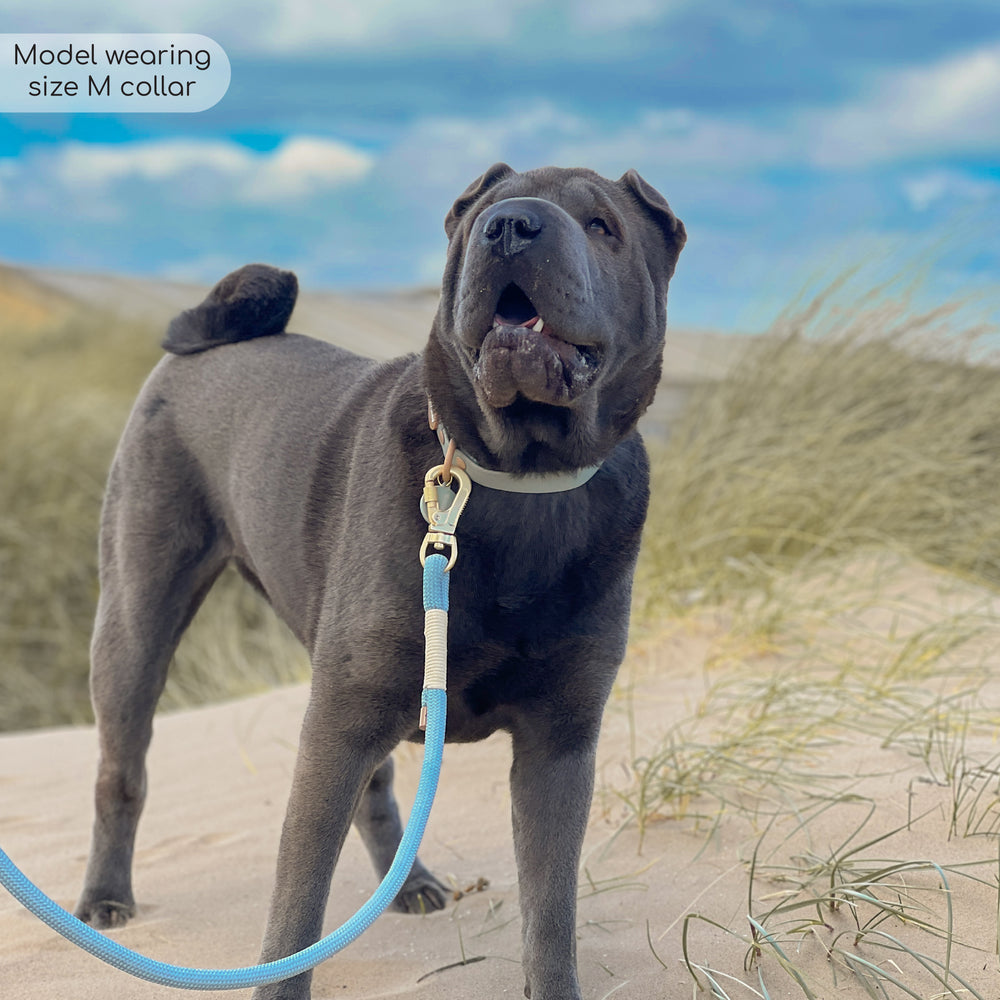 Disney© Waterproof Collar - Lion Friends