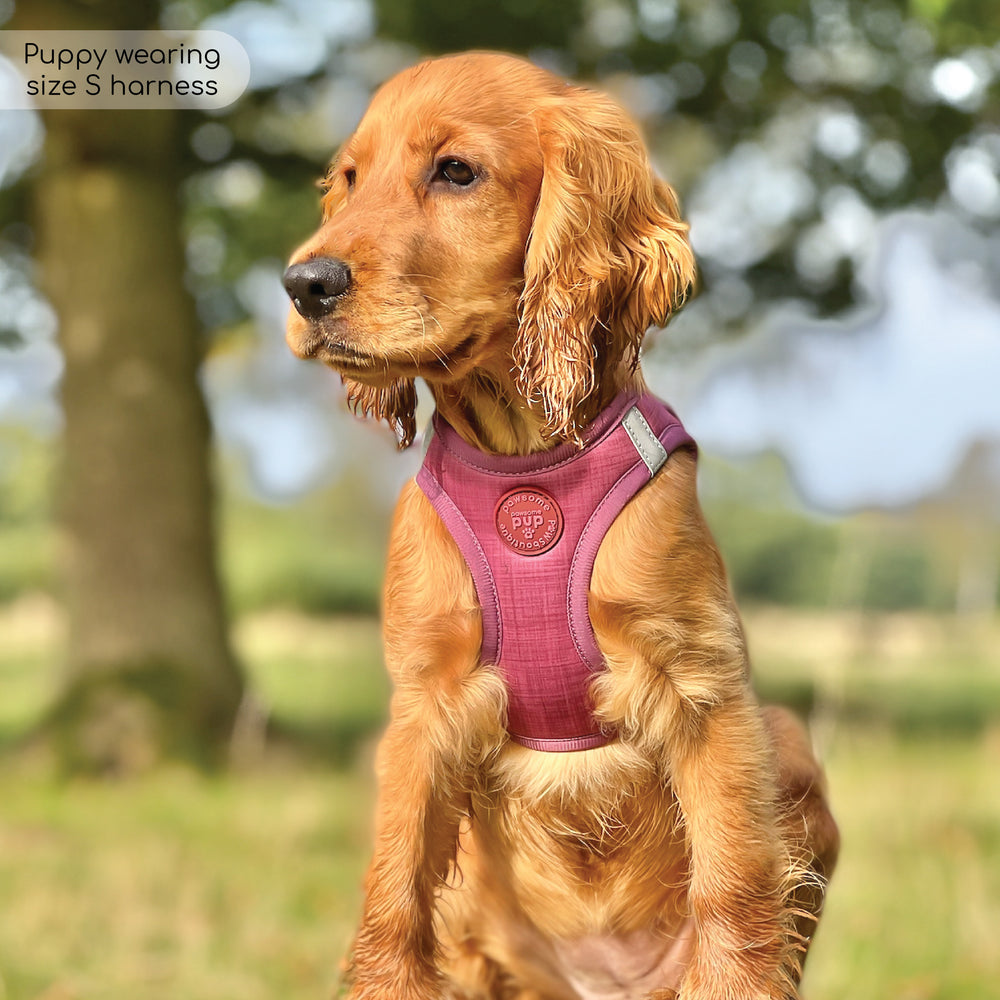Pawsome Pup Harness - Burgundy