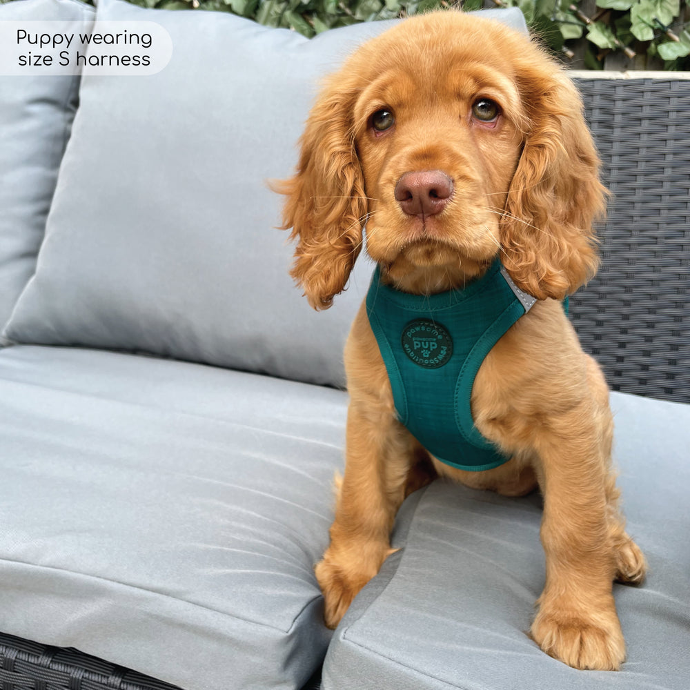 Pawsome Pup Harness - Emerald