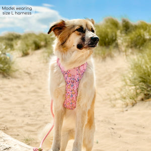 Disney© Tough Trails™ Harness - Nala