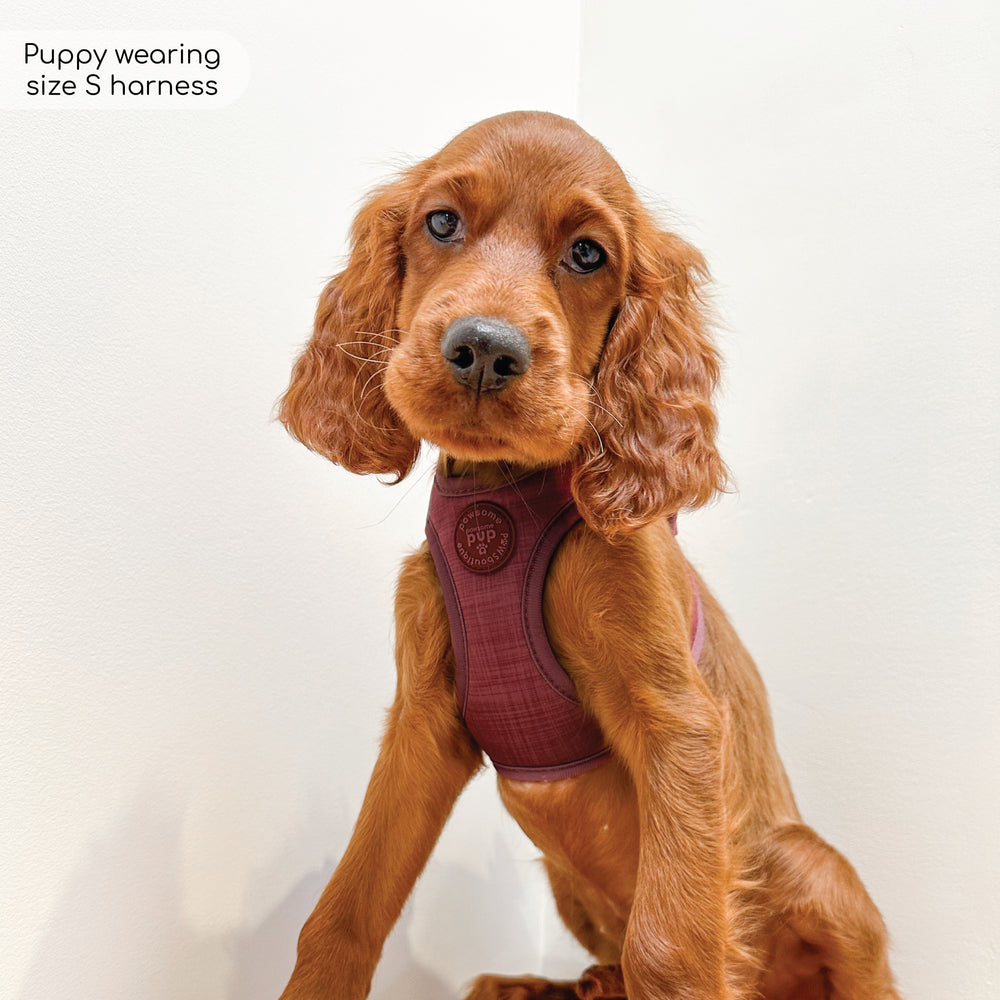 Pawsome Pup Harness - Burgundy