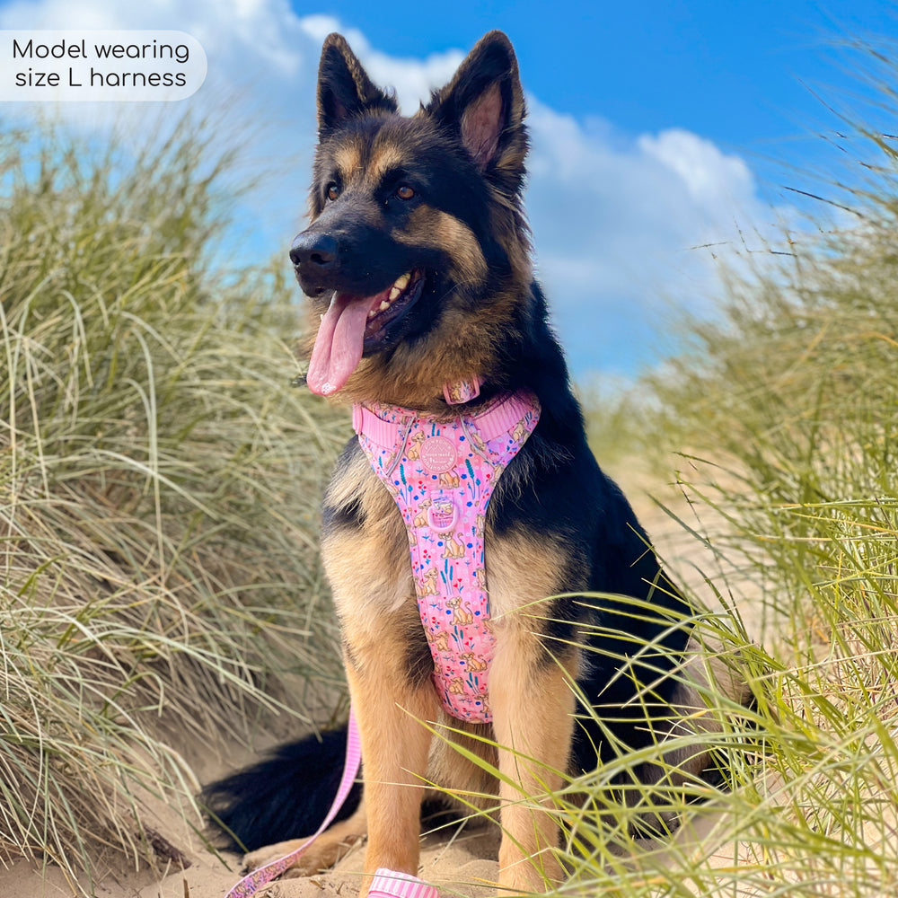 Disney© Tough Trails™ Harness - Nala