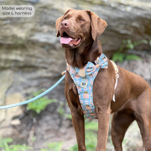 Disney© Tough Trails™ Harness - Lion Friends