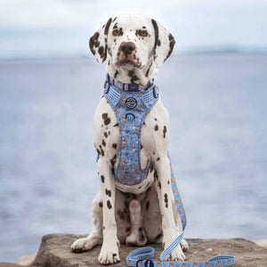 Disney© Lead - Bambi + Friends Blue