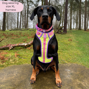 Disney© Tough Trails™ Harness - Buzz Lightyear