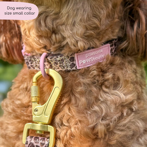 Collar - Leopard Print