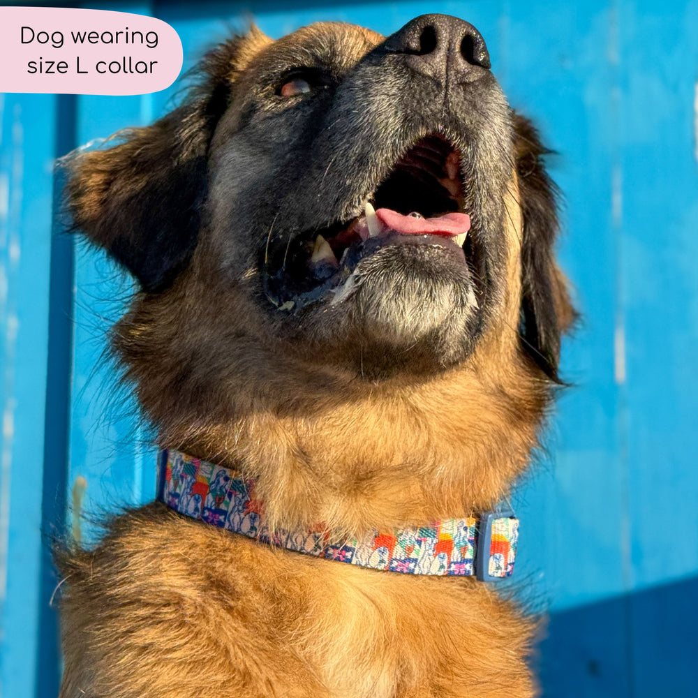 Disney© Collar - Lady + The Tramp