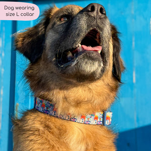 Disney© Collar - Lady + The Tramp