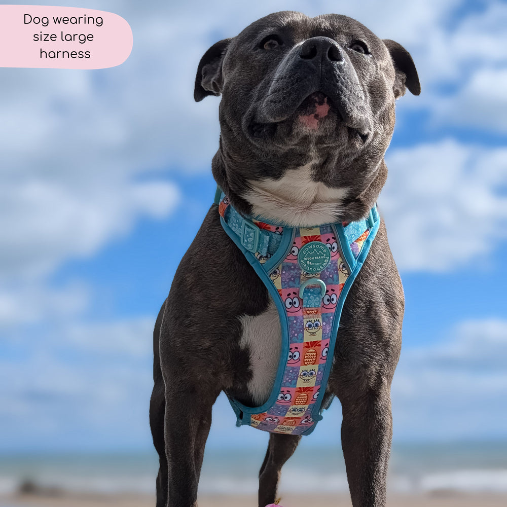 Tough Trails™ Harness - Spongebob