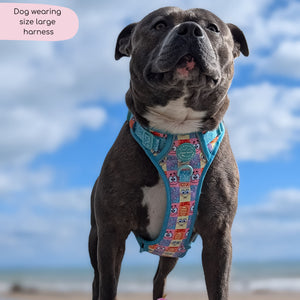 Tough Trails™ Harness - Spongebob