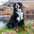 Disney© Tough Trails™ Harness - 100 Aker Wood