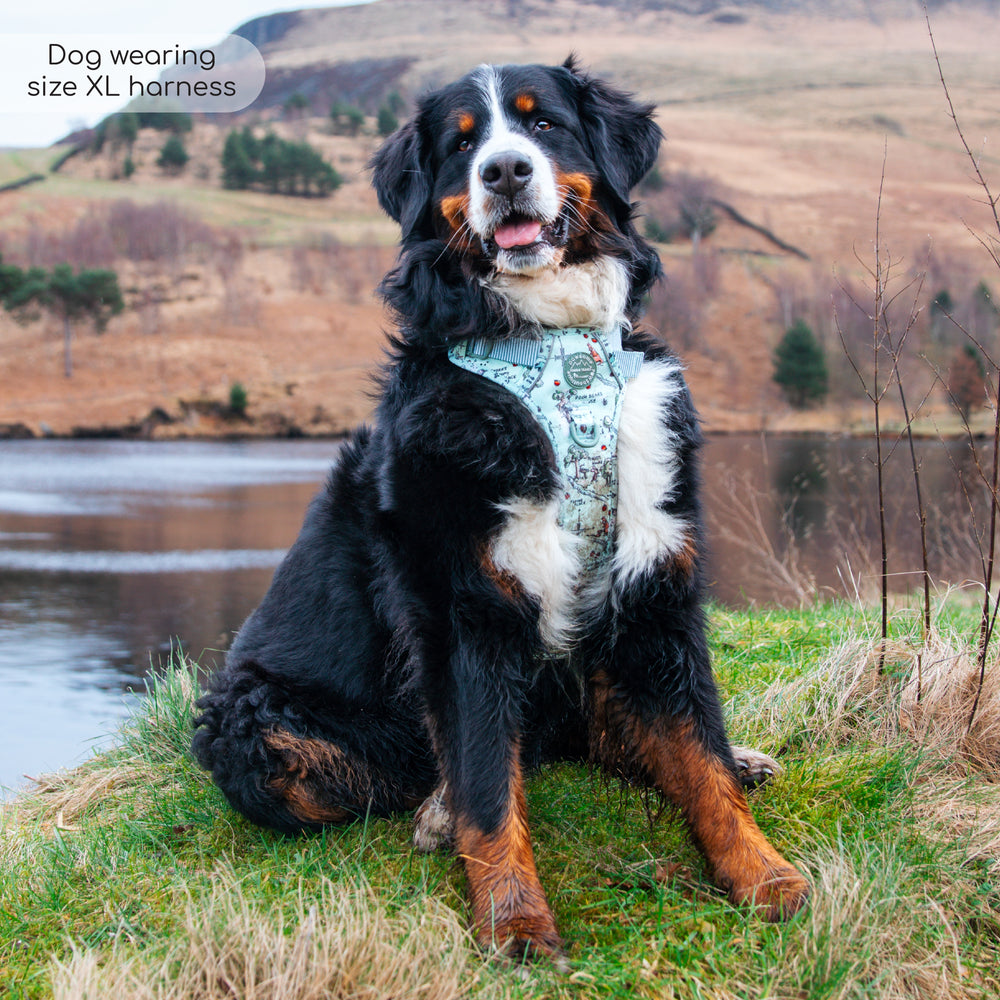 Disney© Tough Trails™ Harness - 100 Aker Wood