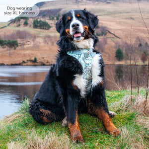 Disney© Tough Trails™ Harness - 100 Aker Wood