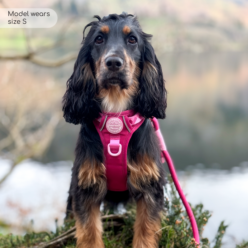 Tough Trails™ Harness - Walkies Ready® Raspberry Pink