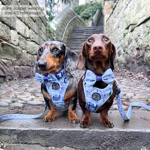Disney© Tough Trails™ Harness - Eeyore