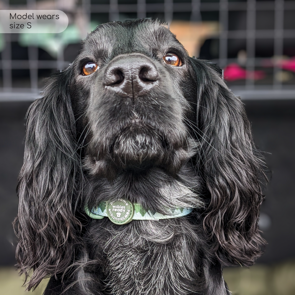 Collar - Walkies Ready® Forest Green