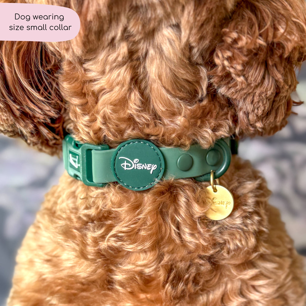 Disney© Waterproof Collar - Jungle Book