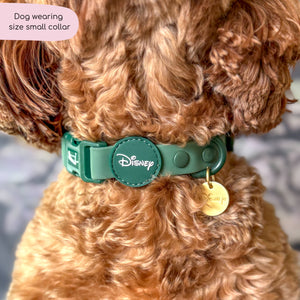 Disney© Waterproof Collar - Jungle Book