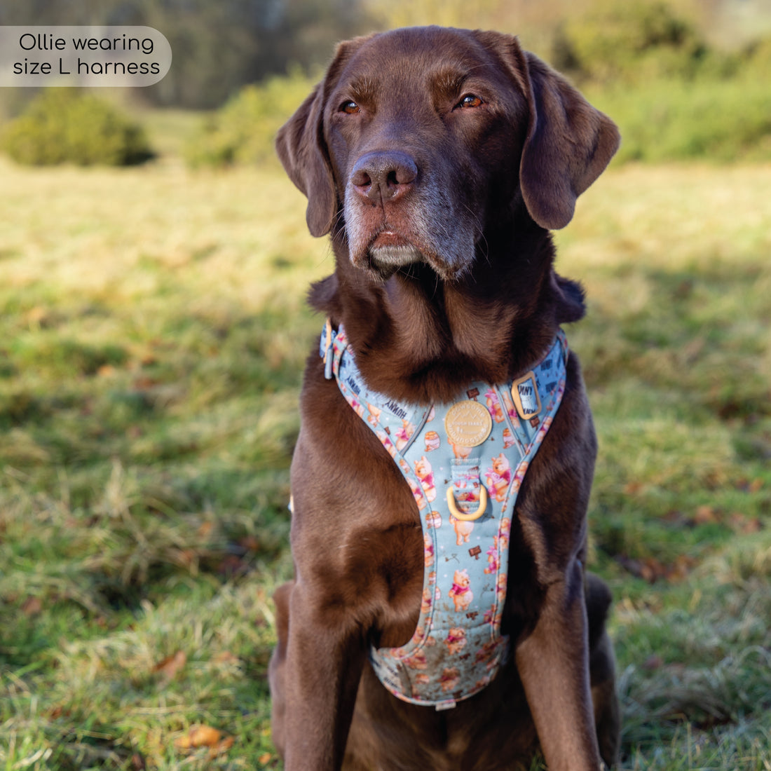 Disney© Tough Trails™ Harness - Winnie The Pooh