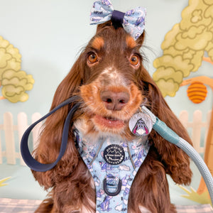 Disney© 4ft Rope Lead - Eeyore - Baby Blue and Navy