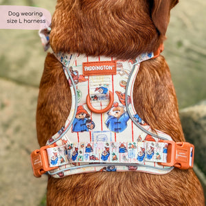 Paddington™ Tough Trails™ Harness - Peckish Paddington