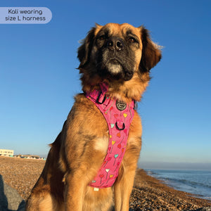 Tough Trails™ Harness - Candypop