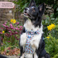Disney© Tough Trails™ Harness - Tigger