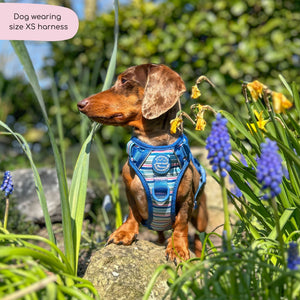 Tough Trails™ Harness -  Sailor Stripes