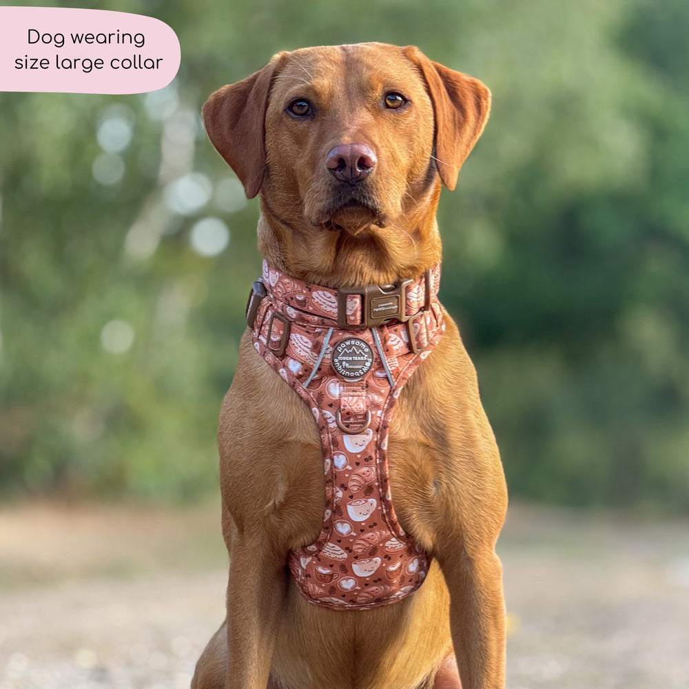 Collar - Cinnamon Spice