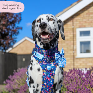 Disney© Collar - Alice In Wonderland