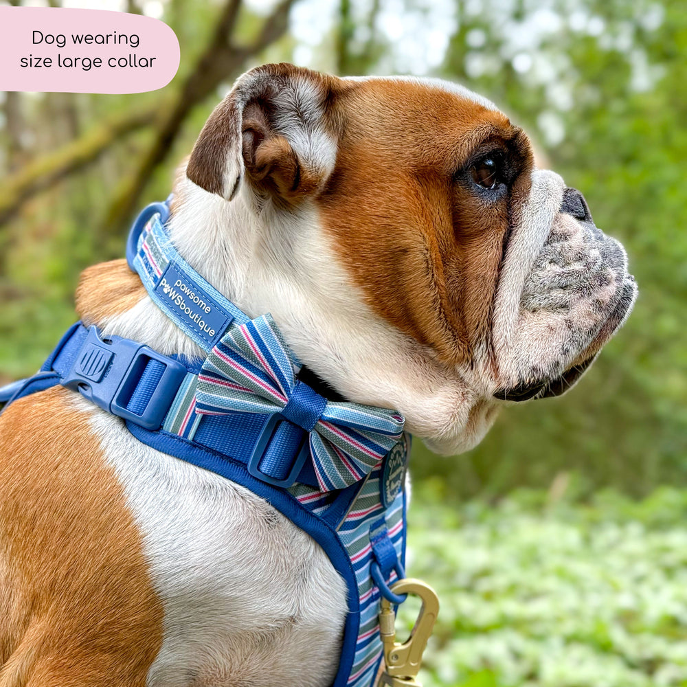 Collar - Sailor Stripes