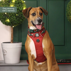 Tough Trails™ Harness - Walkies Ready® Snowy Mountains