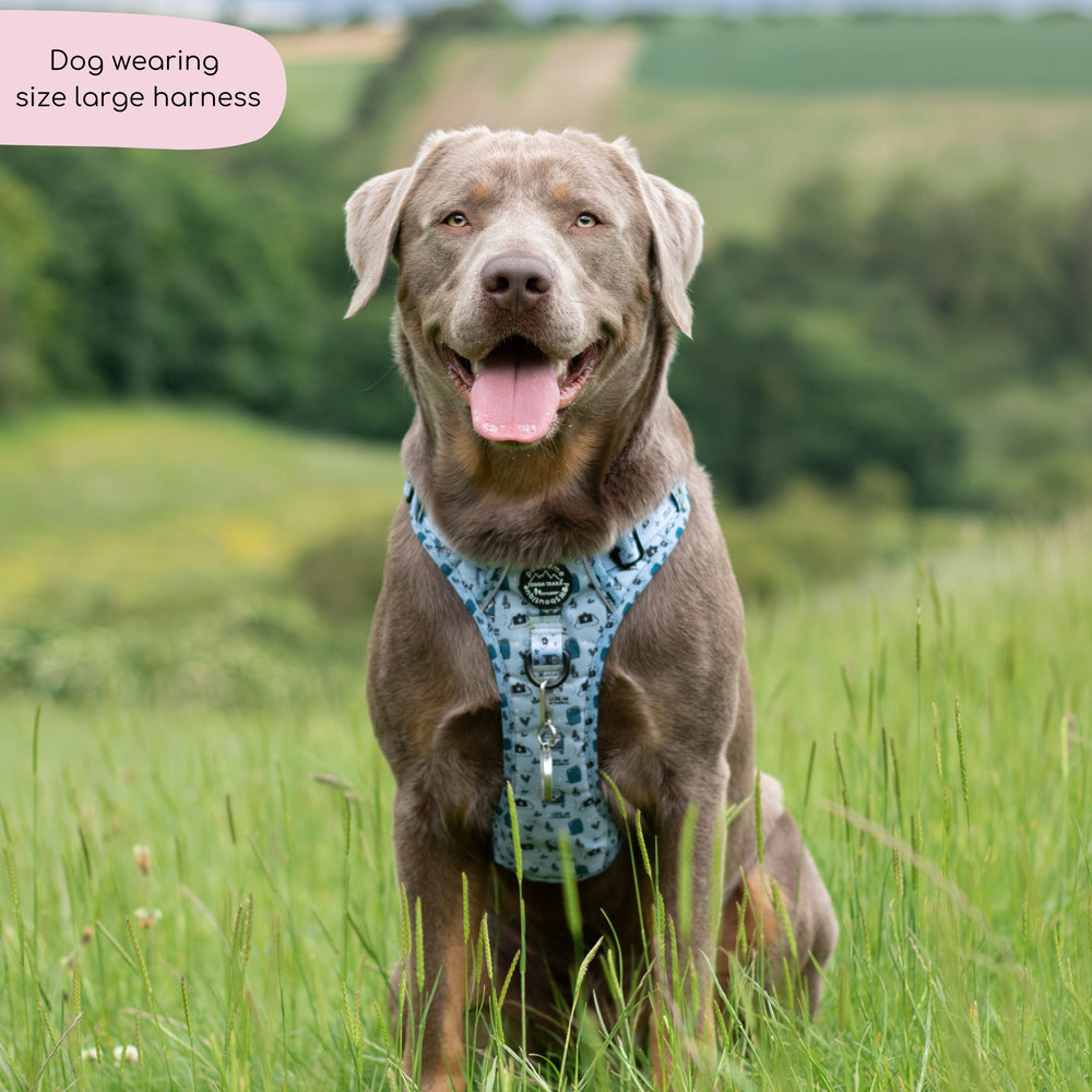 Tough Trails™ Harness - Reuben's Roadtrip