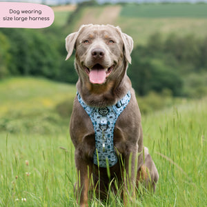 Tough Trails™ Harness - Reuben's Roadtrip