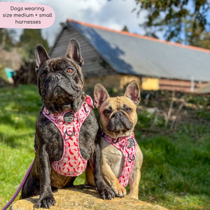 Tough Trails™ Harness - Chilli Dog