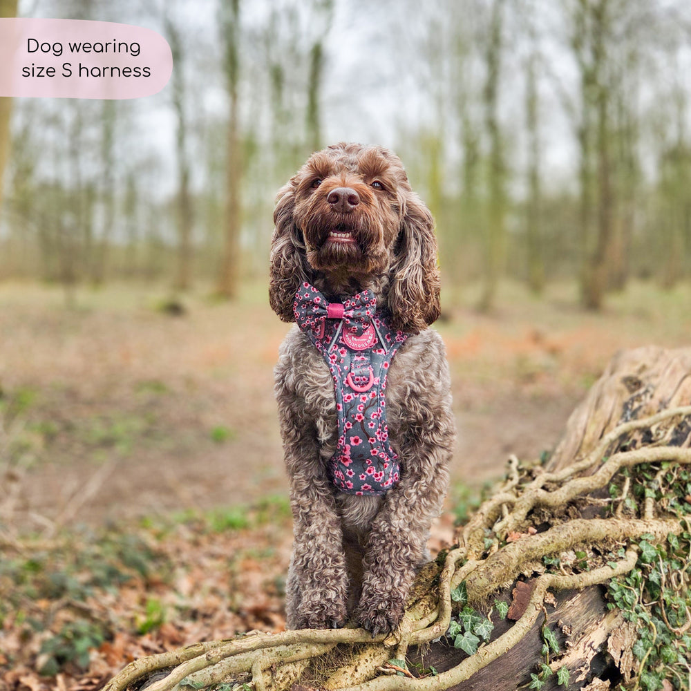 Tough Trails™ Harness -  Cherry Blossom