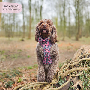 Tough Trails™ Harness -  Cherry Blossom