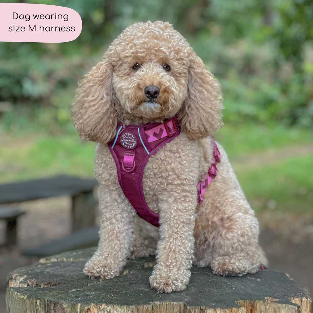 Tough Trails™ Harness - Walkies Ready® Mulberry