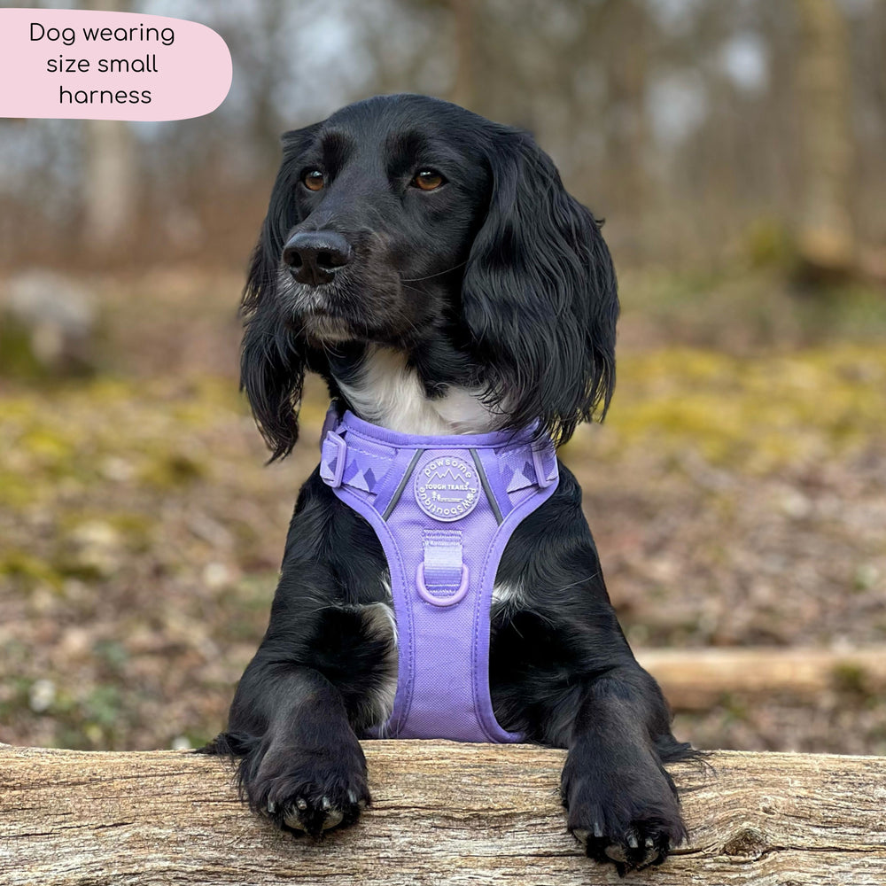 Tough Trails™ Harness - Walkies Ready® Lavender Lilac