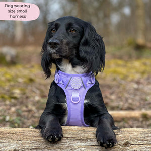 Tough Trails™ Harness - Walkies Ready® Lavender Lilac
