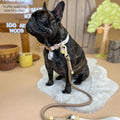 Disney© 4ft Rope Lead - Winnie The Pooh - Beige and Brown