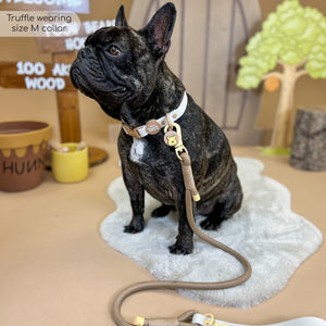 Disney© 4ft Rope Lead - Winnie The Pooh - Beige and Brown