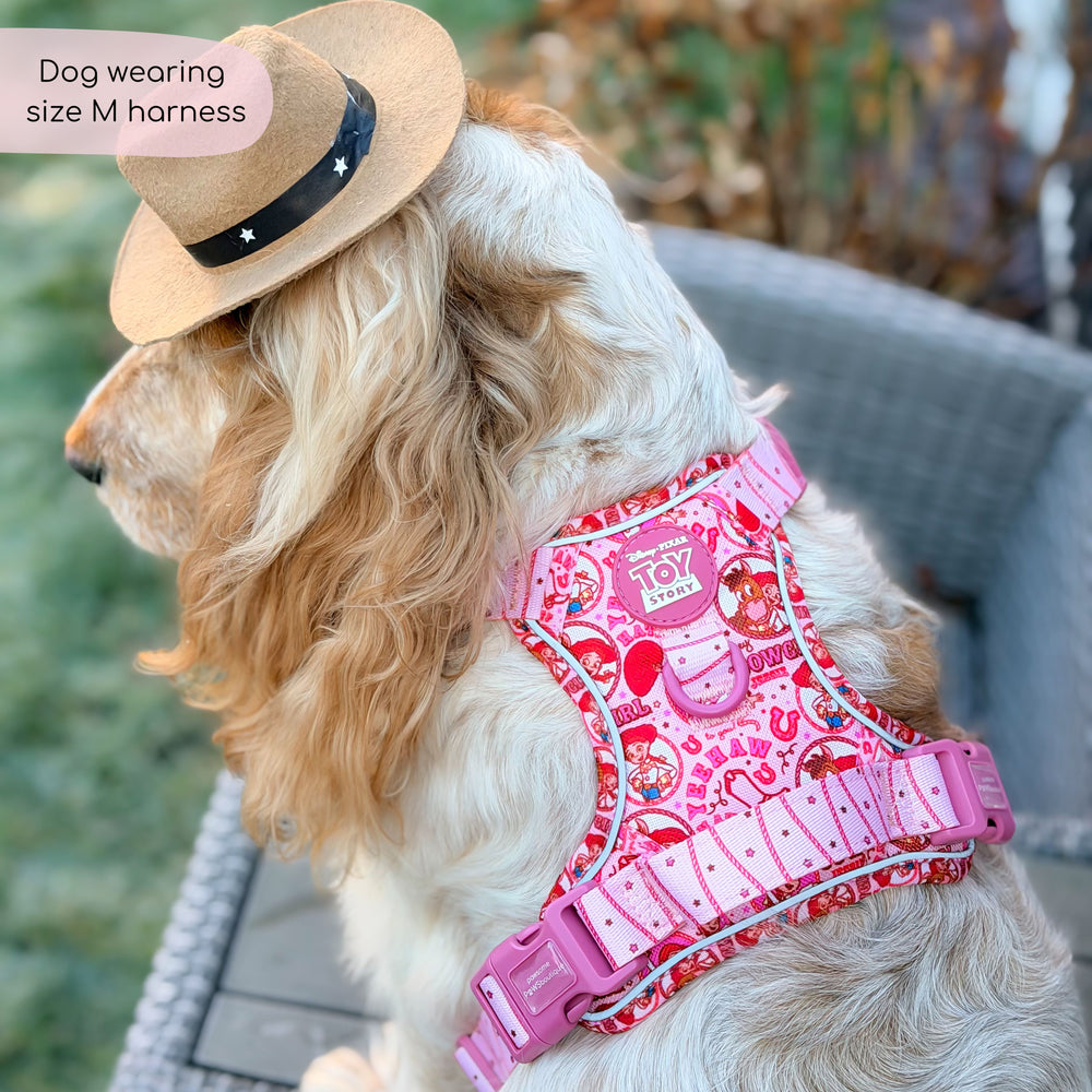 Disney© Tough Trails™ Harness - Jessie