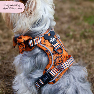 Disney© Tough Trails™ Harness - Halloween