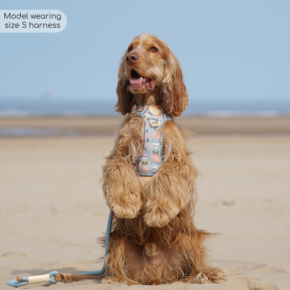 Disney© Tough Trails™ Harness - Lion Friends