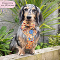 Tough Trails™ Harness - Celestial Spirit