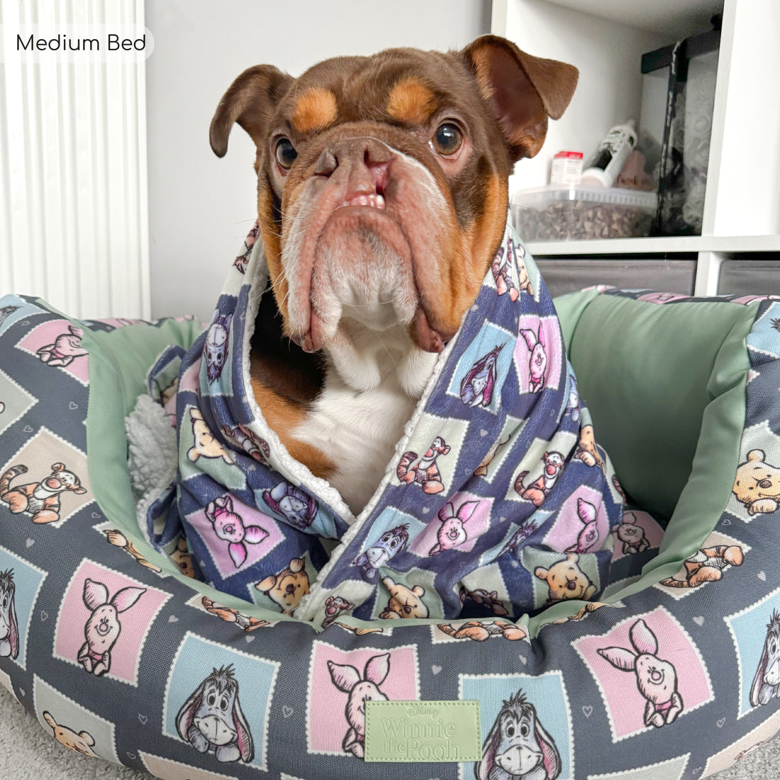 Disney© Dog Bed - Winnie + Friends