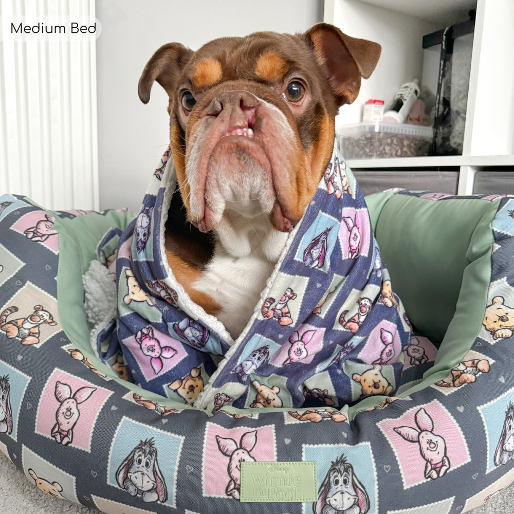 Disney© Dog Bed - Winnie + Friends